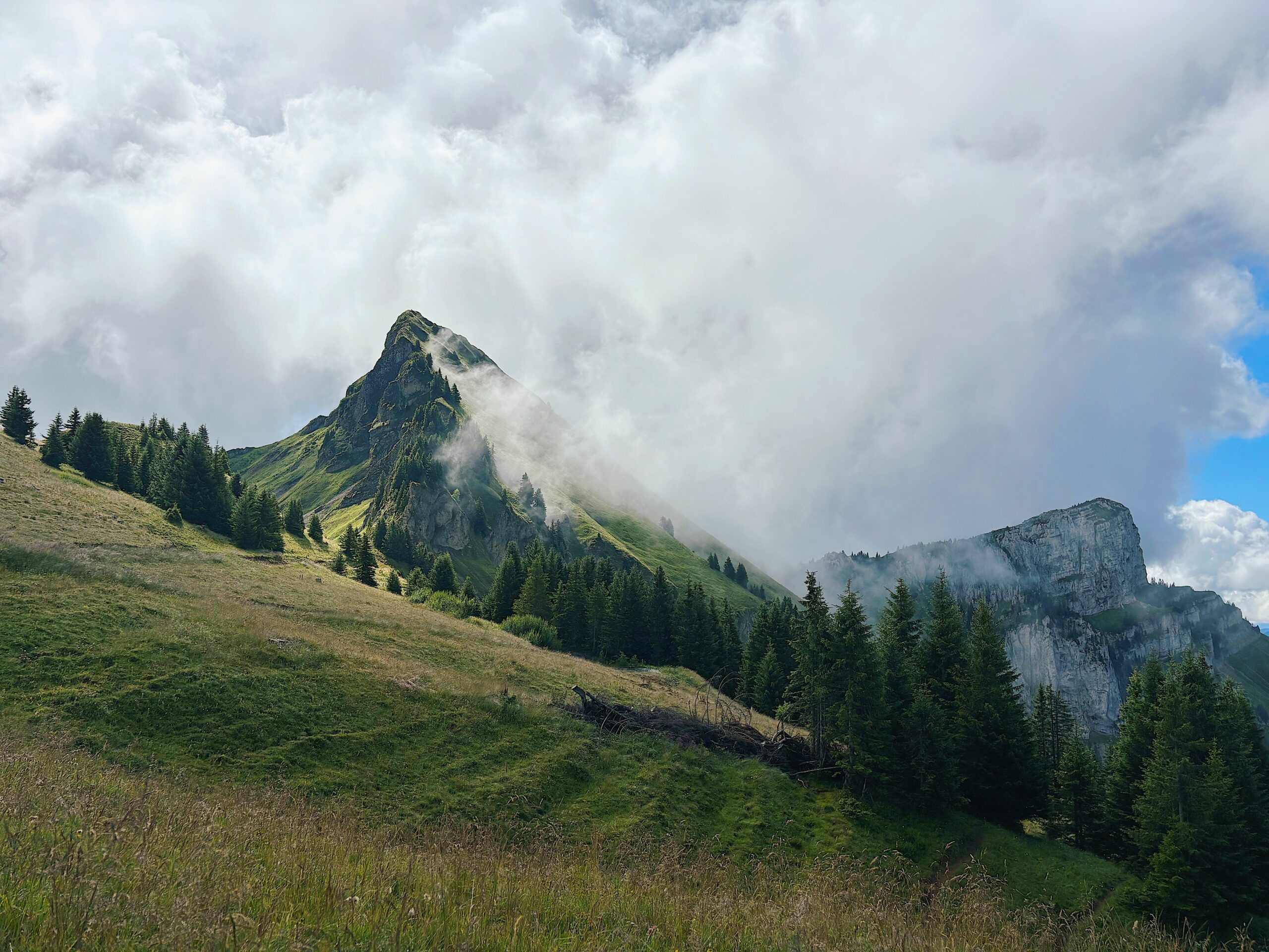 pexels-ariane-633411126-33059864